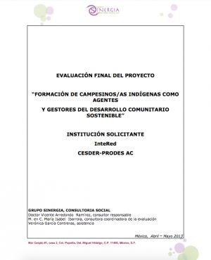Evaluación final externa. Proyecto en el municipio de Zautla (México)