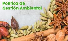 InteRed y su compromiso con el Medioambiente