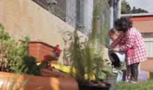 intered pedagogia de los cuidados