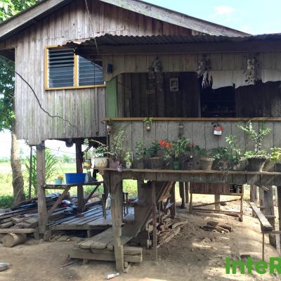 intered filipinas 234